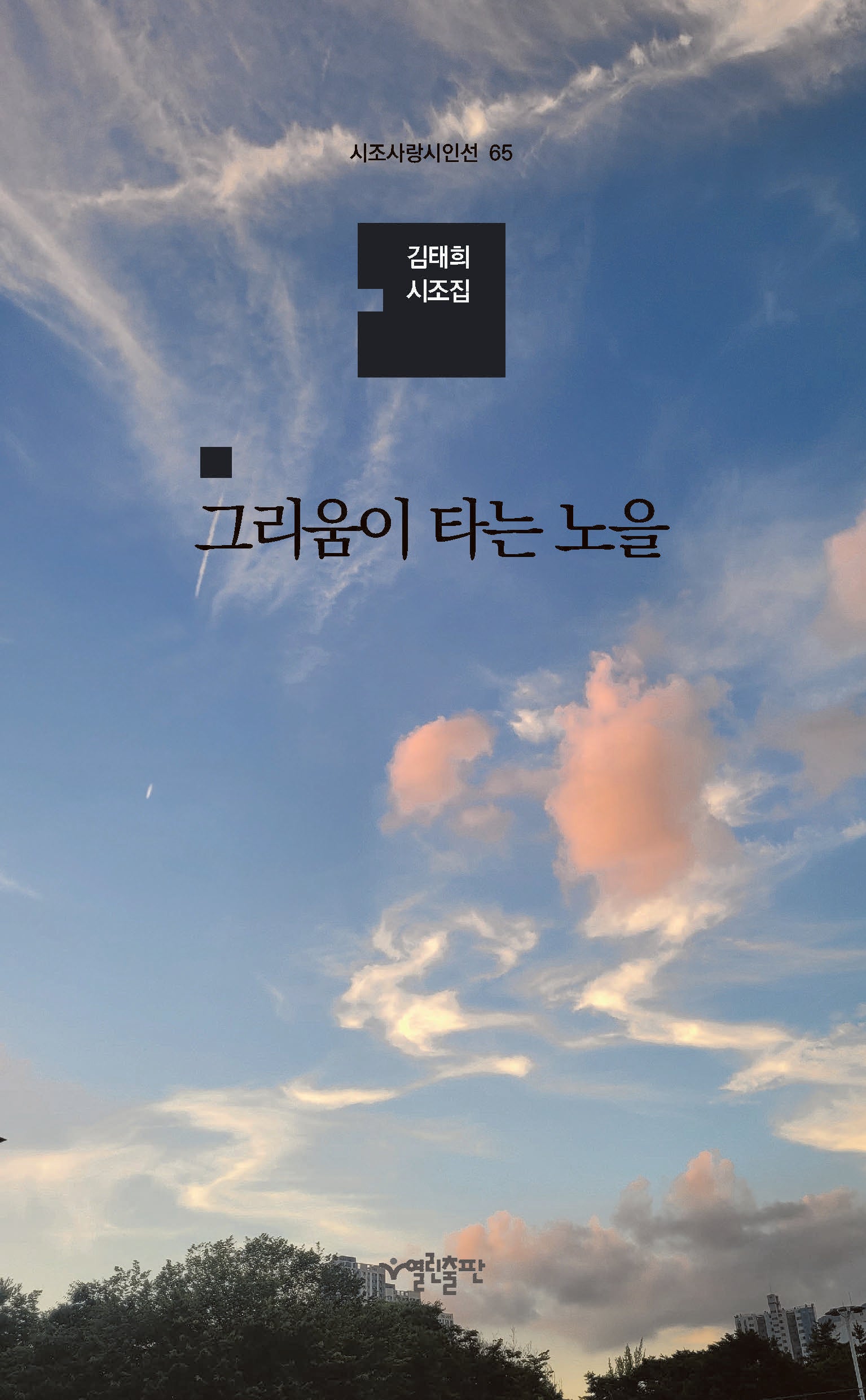 그리움이 타는 노을(시조사랑시인선 65)