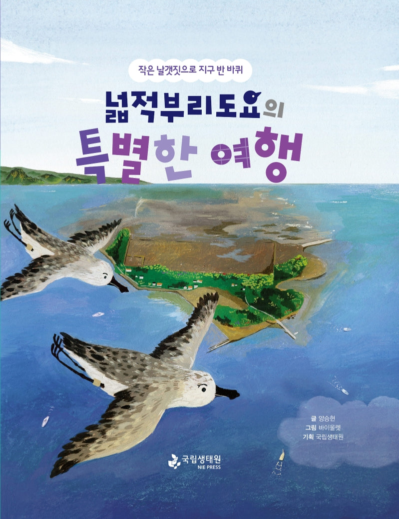 넓적부리도요의 특별한 여행(양장본 Hardcover)