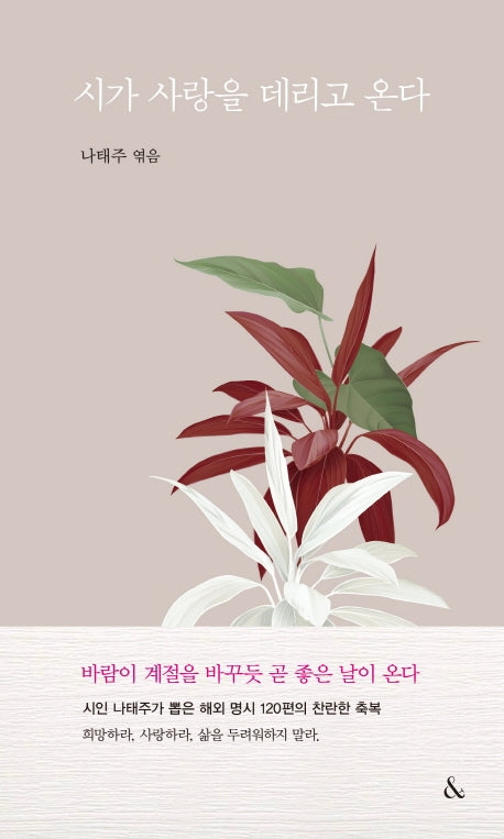 시가 사랑을 데리고 온다(양장본 Hardcover)