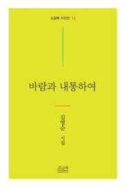 바람과 내통하여(소금북 시인선 13)