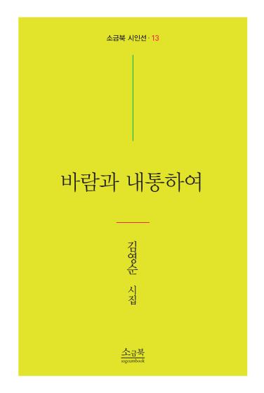 바람과 내통하여(소금북 시인선 13)