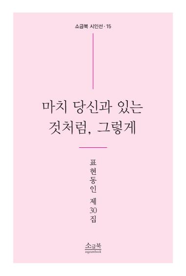 마치 당신과 있는 것처럼, 그렇게(소금북 시인선 15)