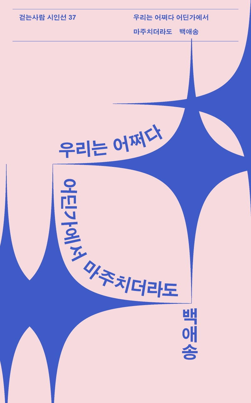우리는 어쩌다 어딘가에서 마주치더라도(걷는사람 시인선 37)