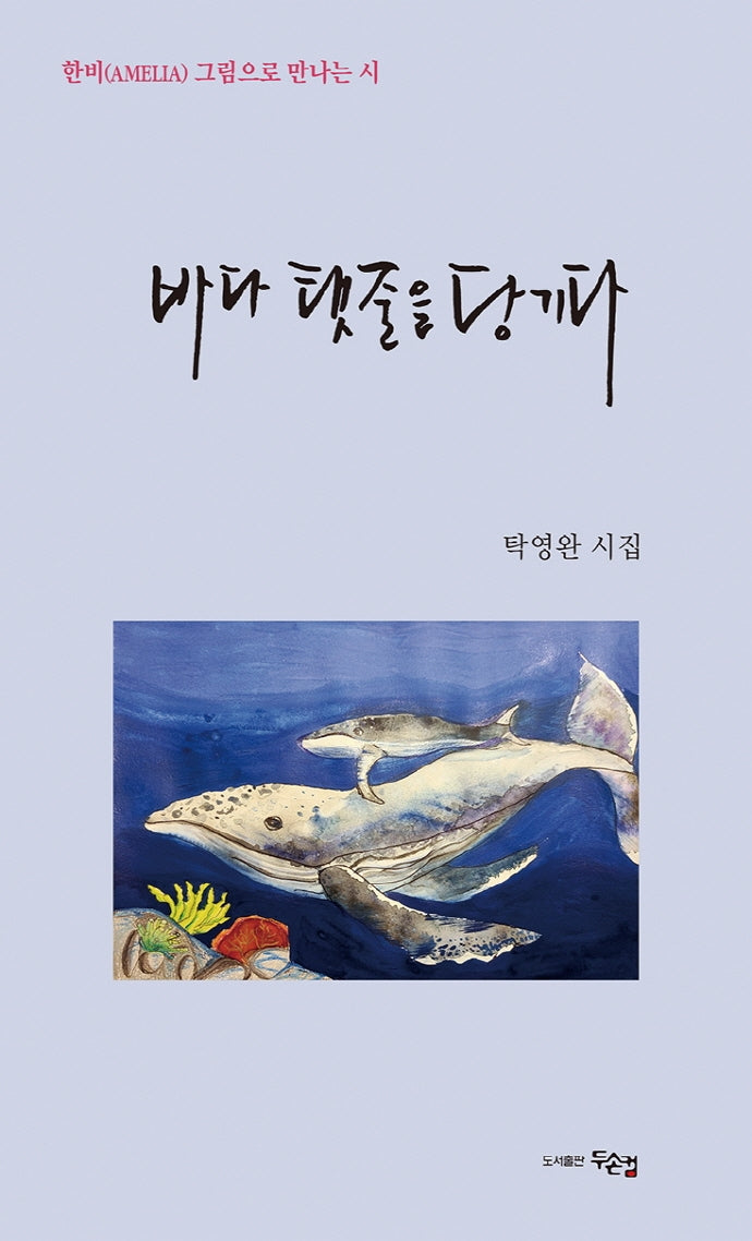 바다 탯줄을 당기다