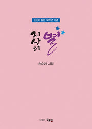 지상의 별