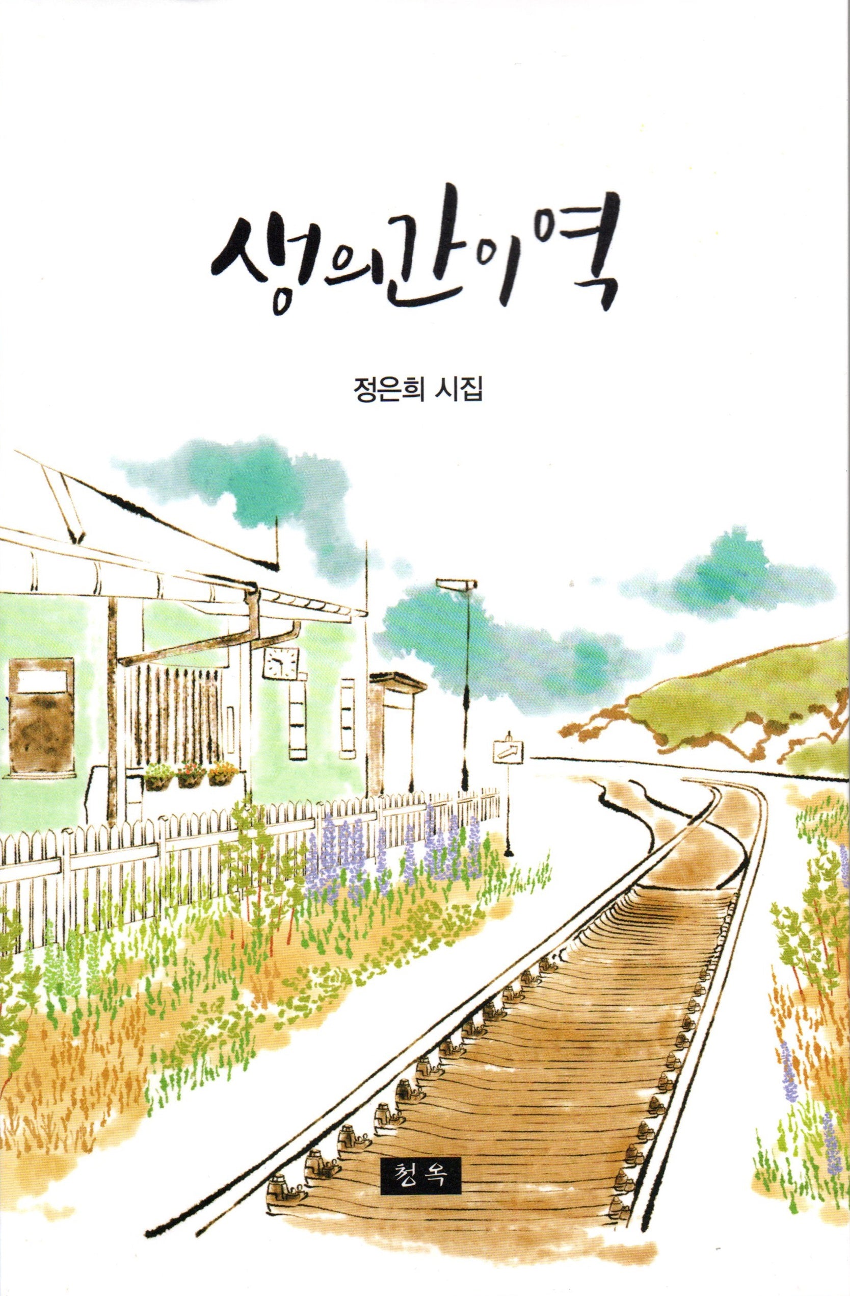 생의 간이역