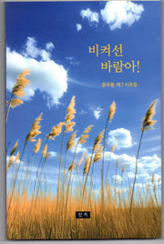 비켜선 바람아