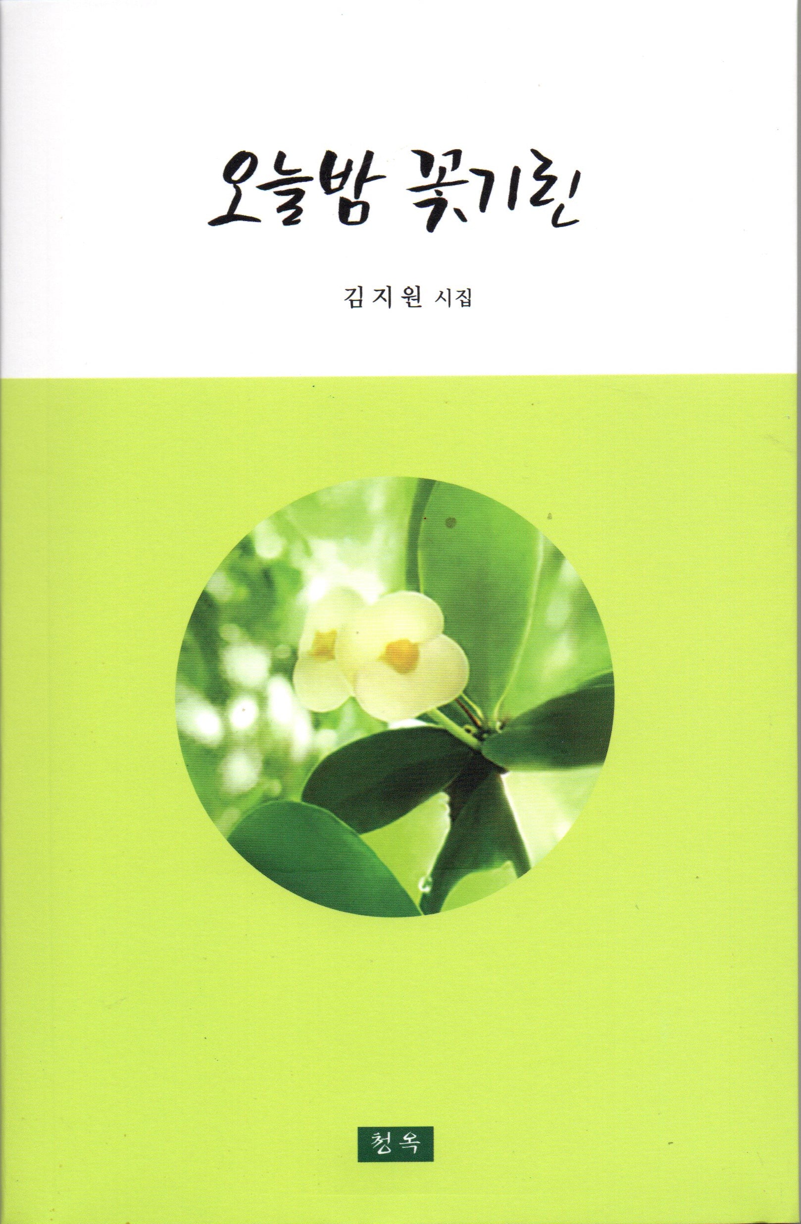 오늘밤 꽃기린