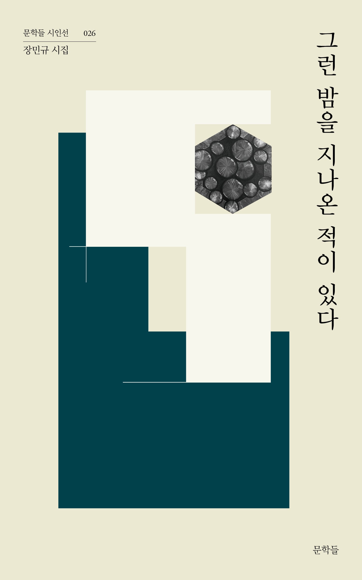 그런 밤을 지나온 적이 있다(문학들 시인선 26)