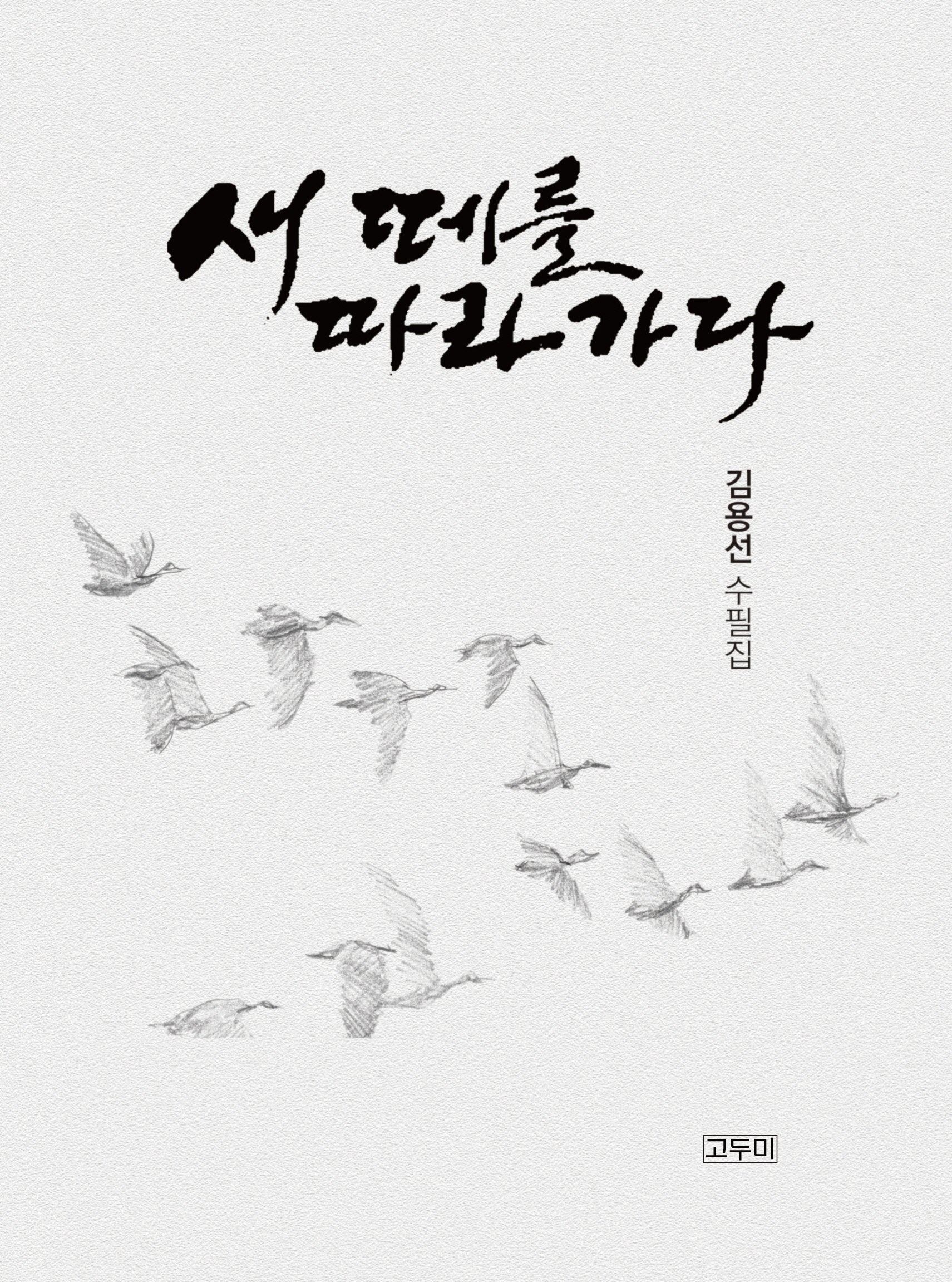 새 떼를 따라가다