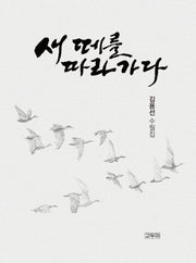 새 떼를 따라가다