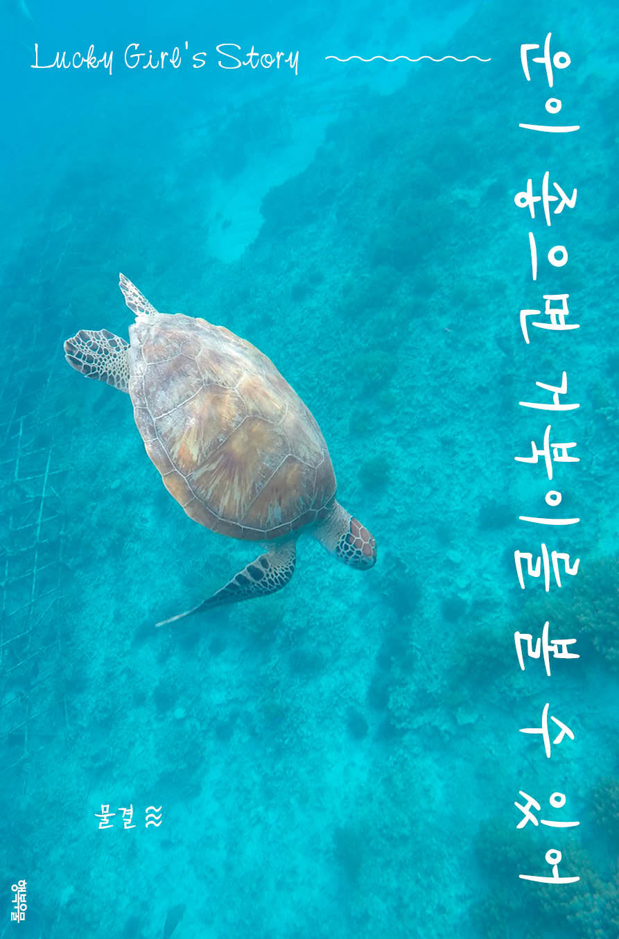 운이 좋으면 거북이를 볼 수 있어(연시리즈 17)