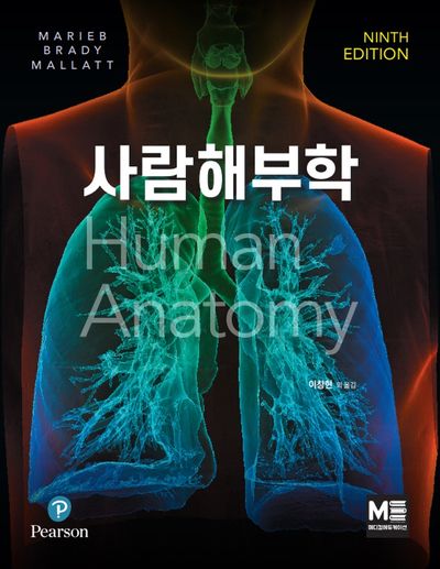 사람해부학(9판)