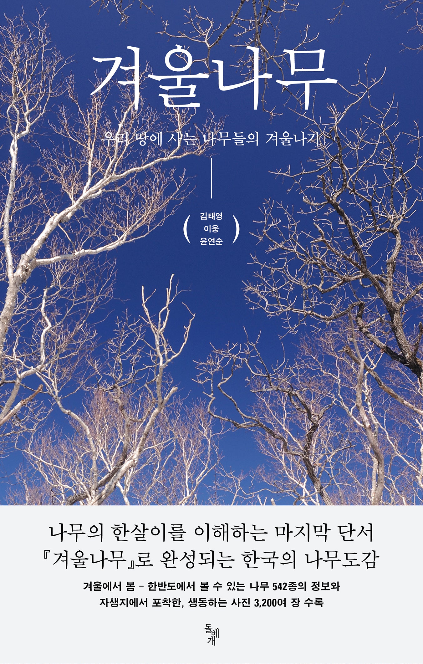 겨울나무
