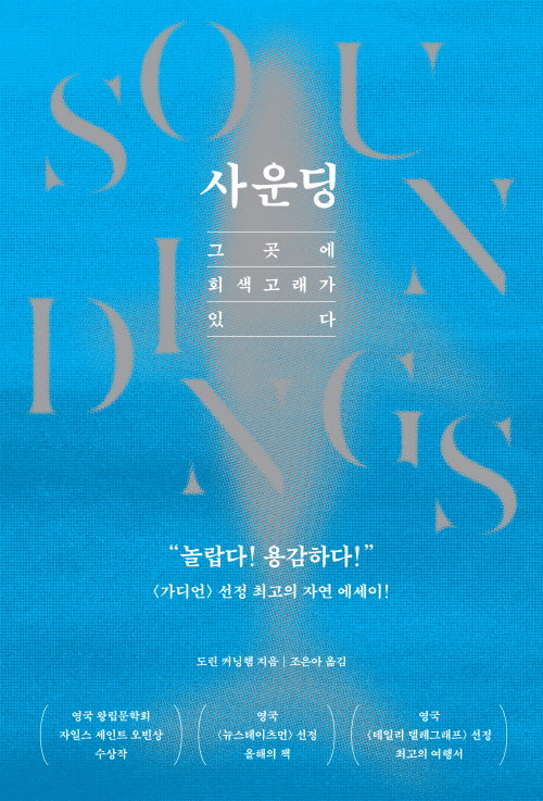 사운딩: 그곳에 회색고래가 있다