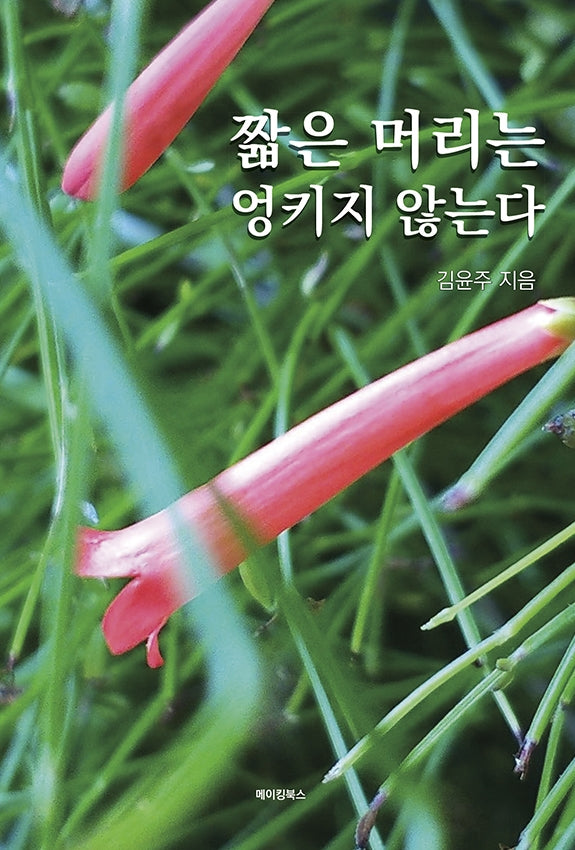 짧은 머리는 엉키지 않는다