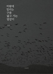 바람에 밀리는 구름 밟고 가는 달같이