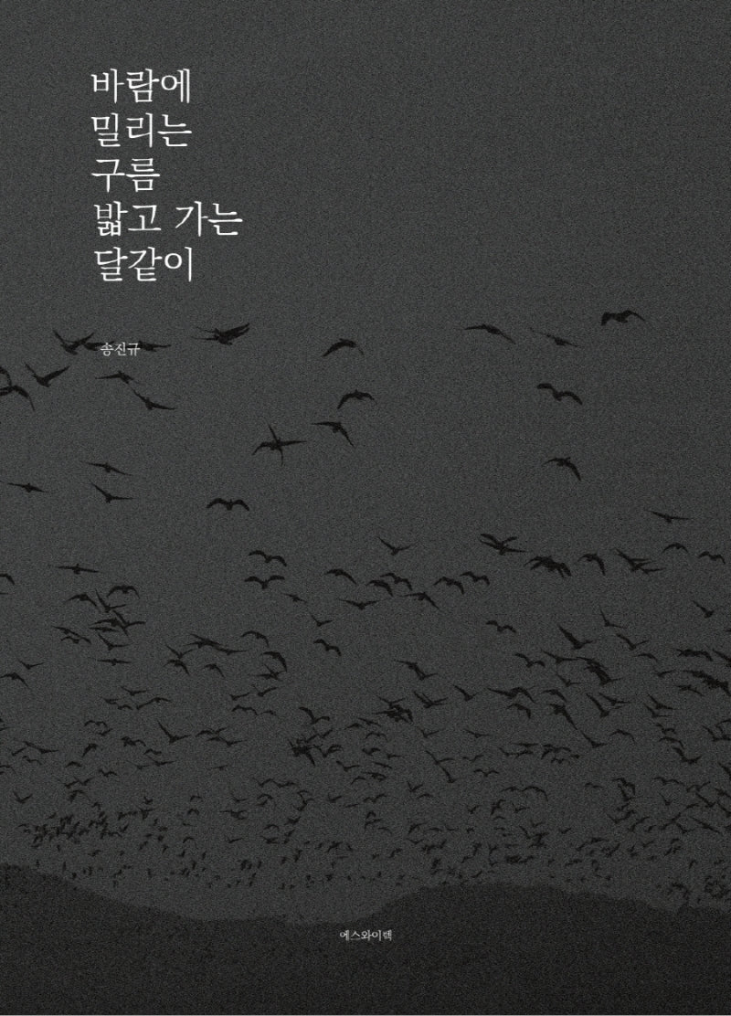 바람에 밀리는 구름 밟고 가는 달같이