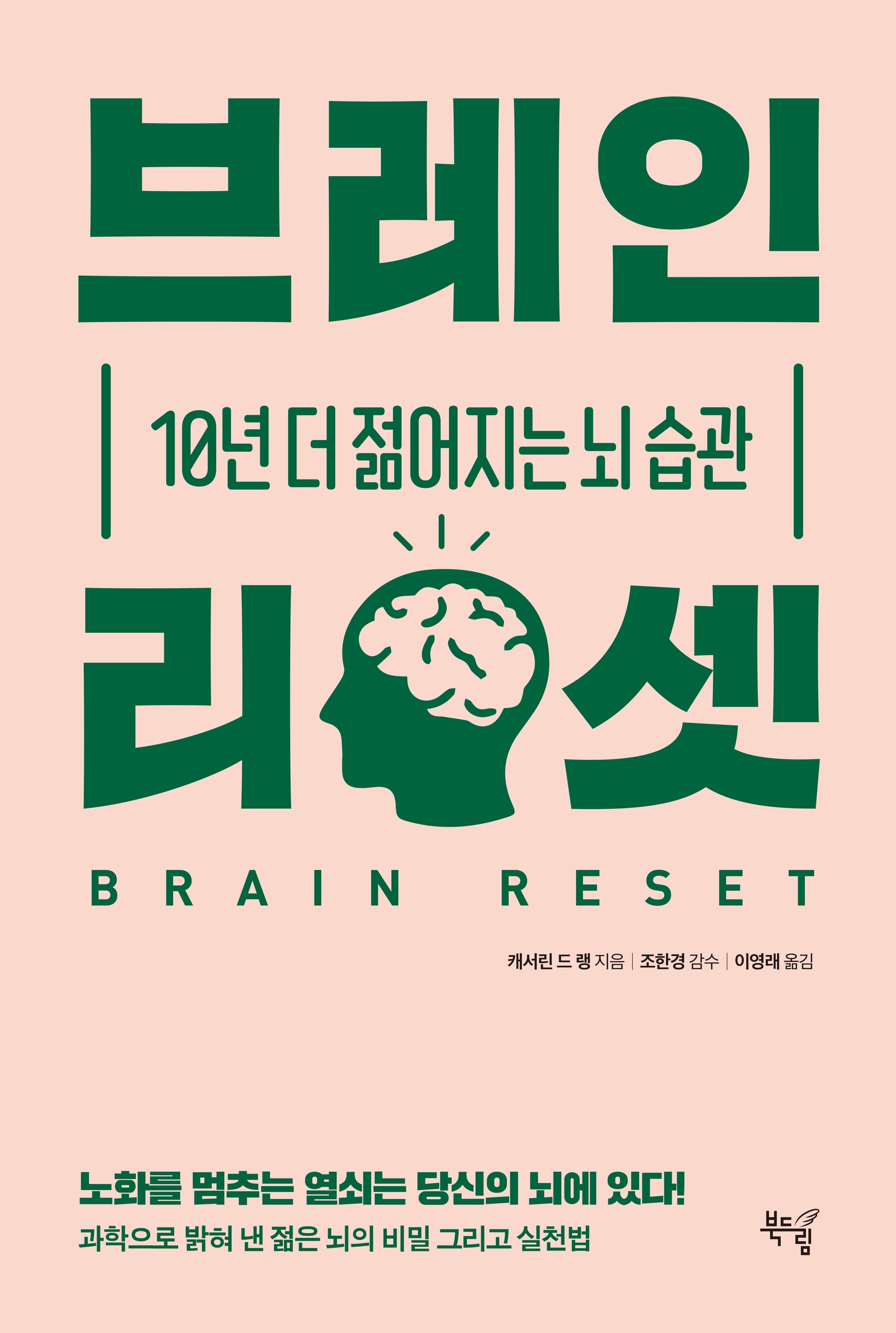 브레인 리셋
