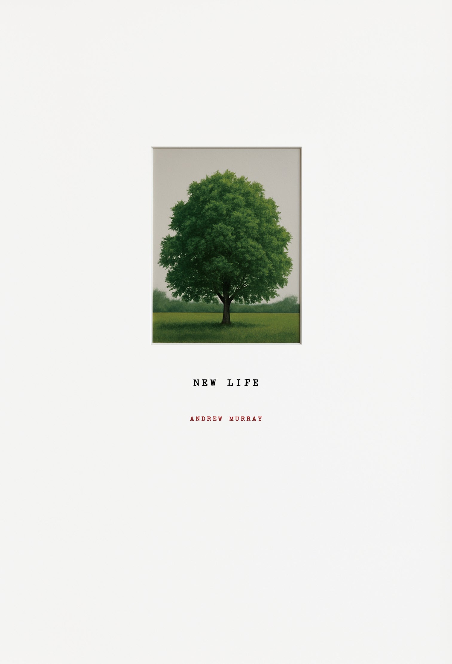 NEW LIFE