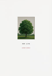NEW LIFE