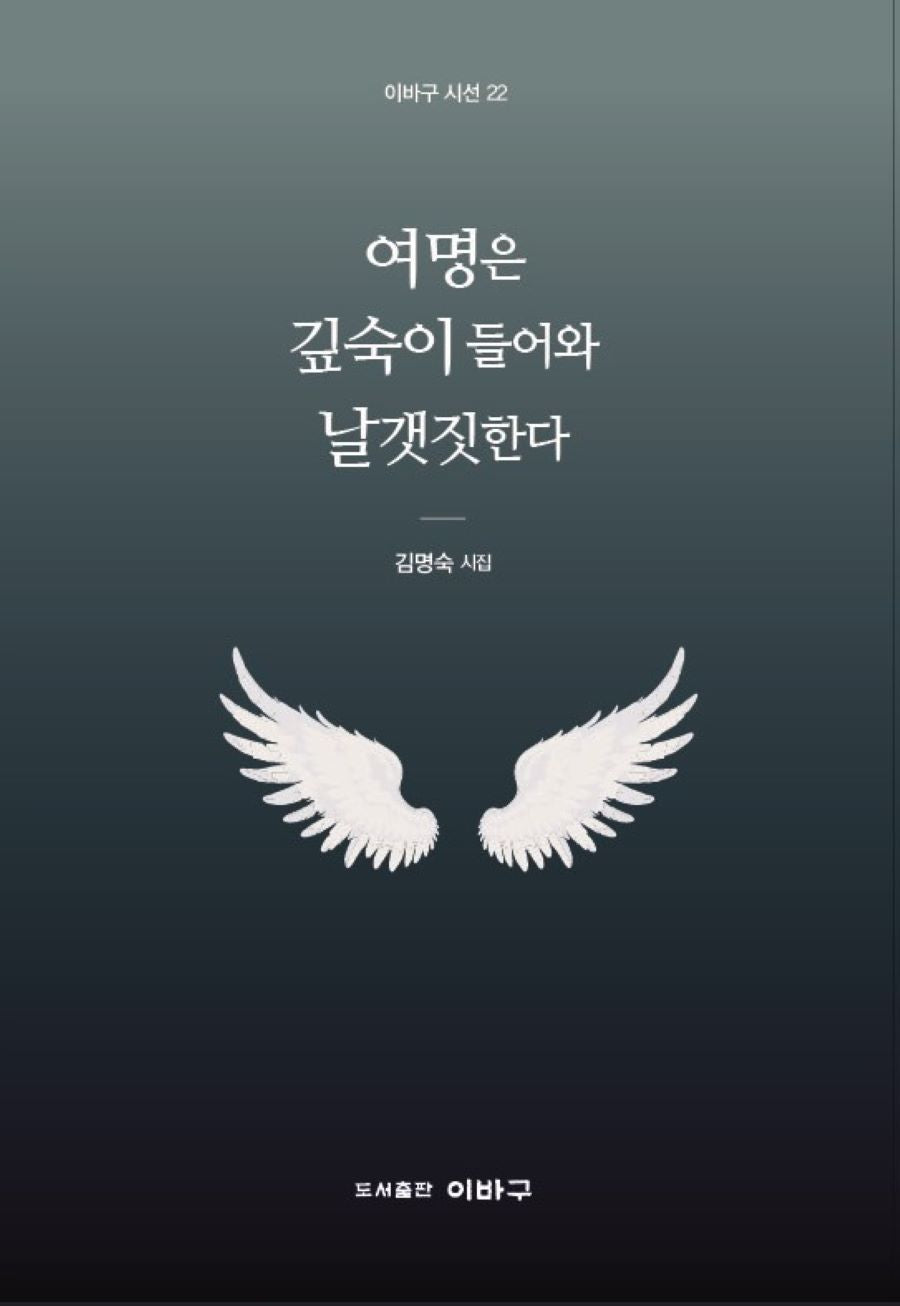 여명은 깊숙이 들어와 날갯짓한다(이바구 시선 22)