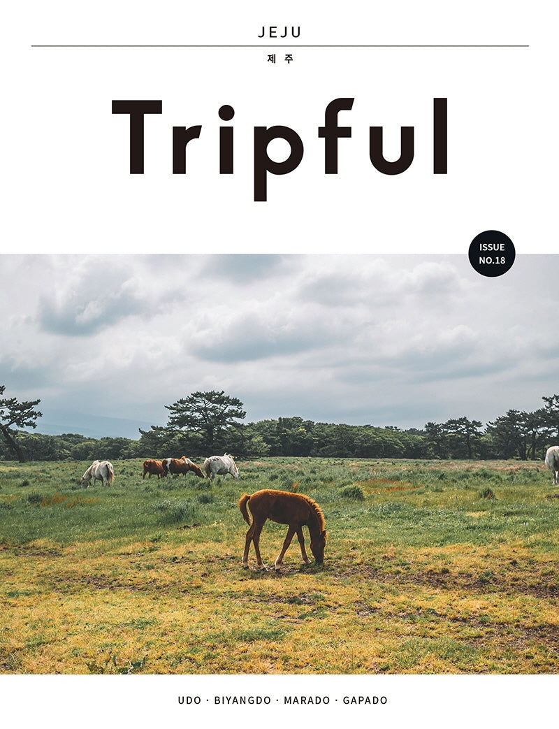 Tripful(트립풀) 제주(Tripful 시리즈 18)