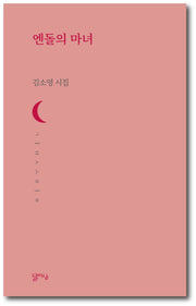 엔돌의 마녀(달아실시선 56)