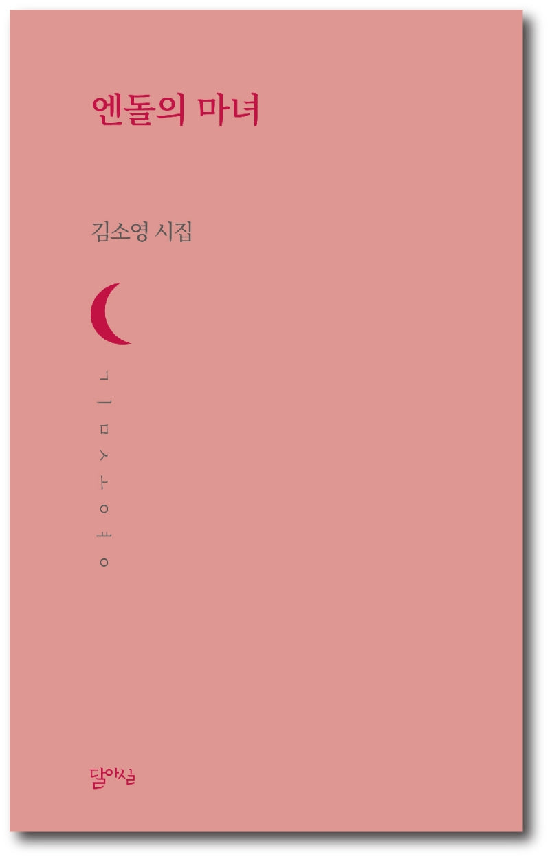 엔돌의 마녀(달아실시선 56)