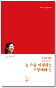 눈 속을 여행하는 오랑캐의 말(달아실시선 73)