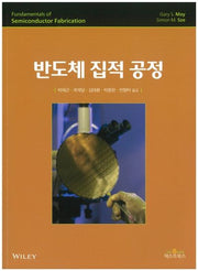 반도체 집적 공정