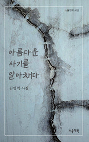 아름다운 사기를 알아채다(소울앤북 시선)