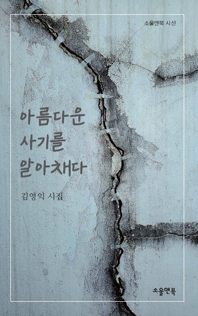 아름다운 사기를 알아채다(소울앤북 시선)