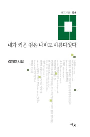 내가 키운 검은 나비도 아름다웠다(애지시선 103)(양장본 Hardcover)