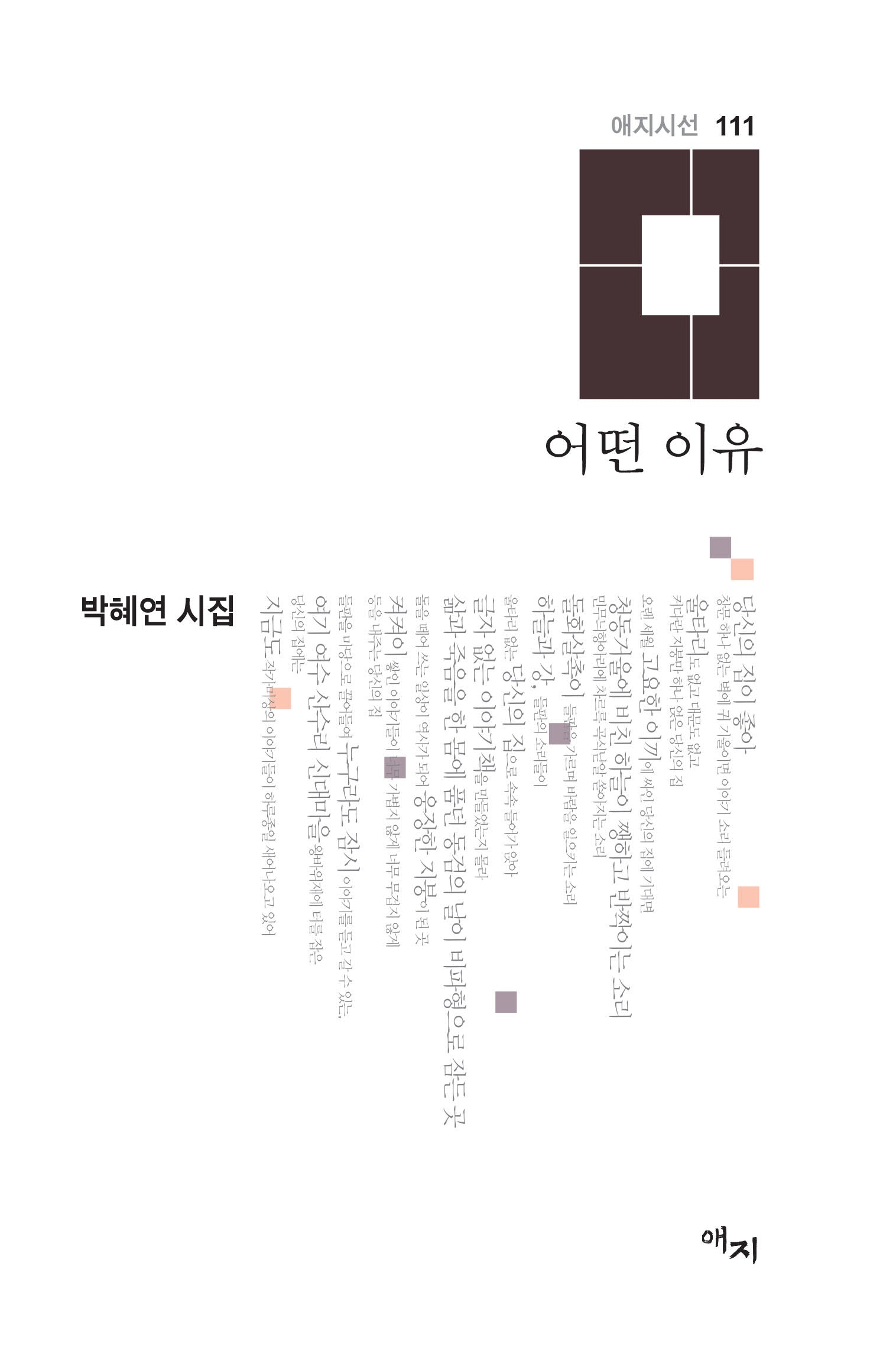 어떤 이유(애지시선 111)(양장본 Hardcover)