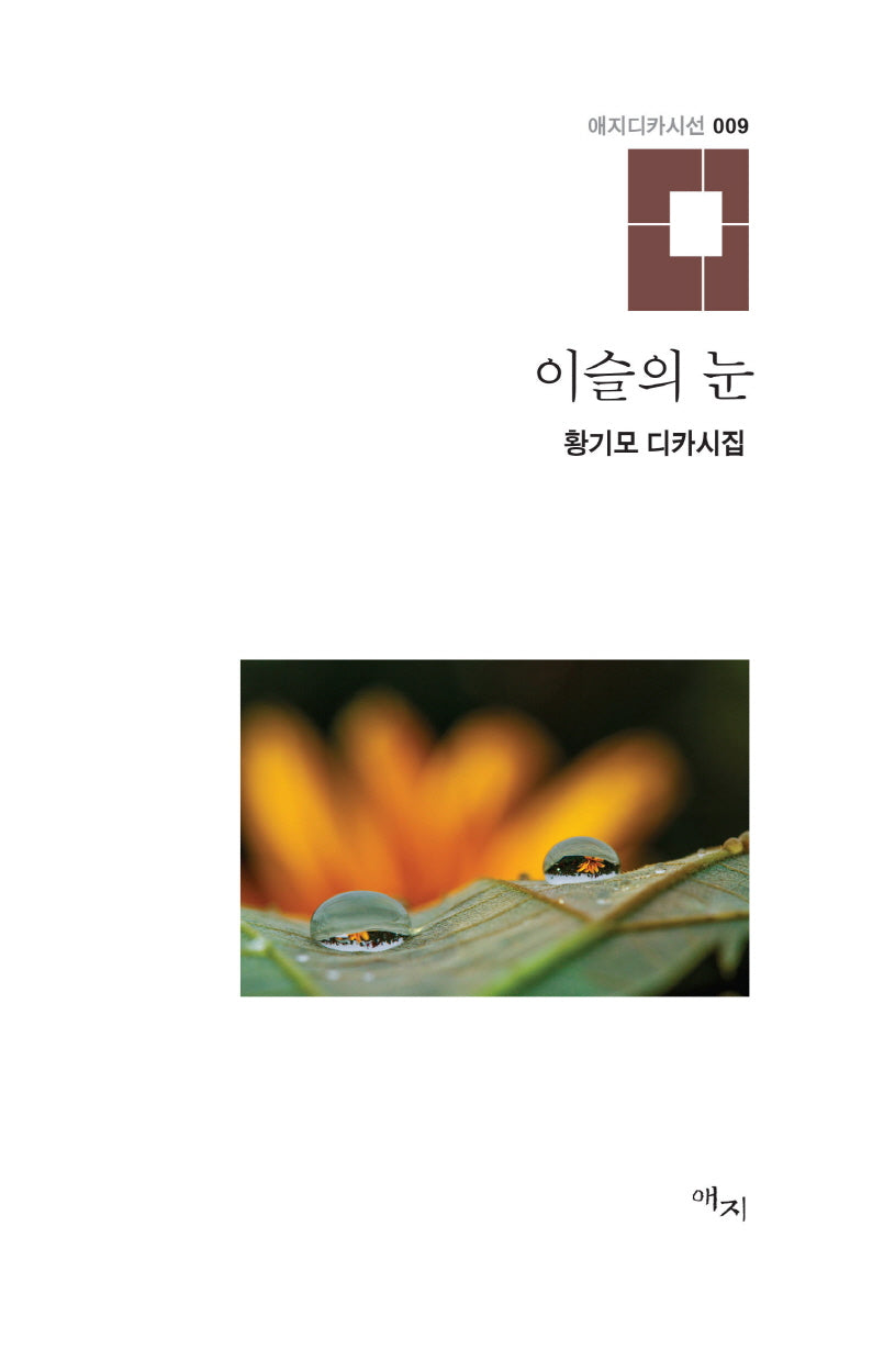 이슬의 눈(애지디카시선 9)(양장본 Hardcover)