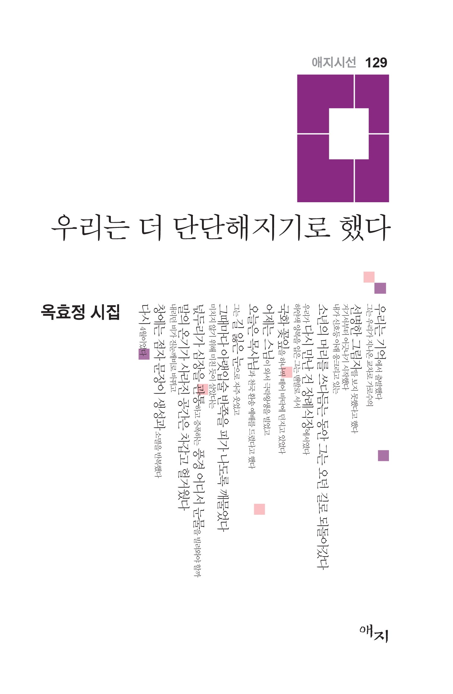 우리는 더 단단해지기로 했다(애지시선 129)(양장본 Hardcover)