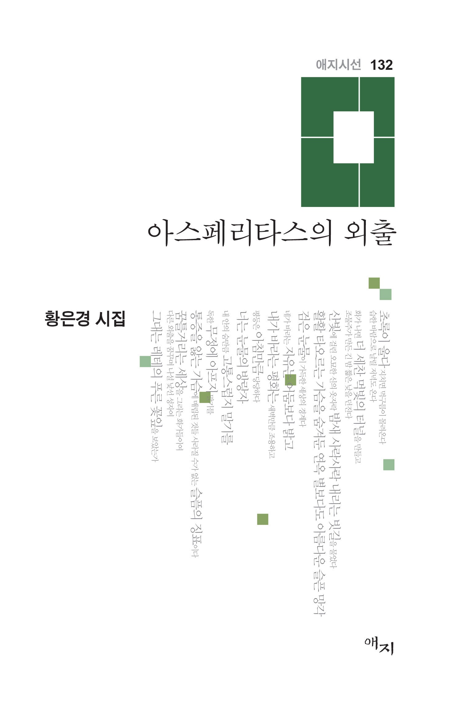 아스페리타스의 외출(애지시선 132)