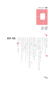 소금(애지시선 139)