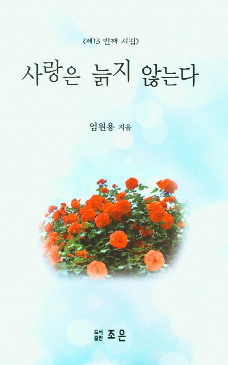 사랑은 늙지 않는다