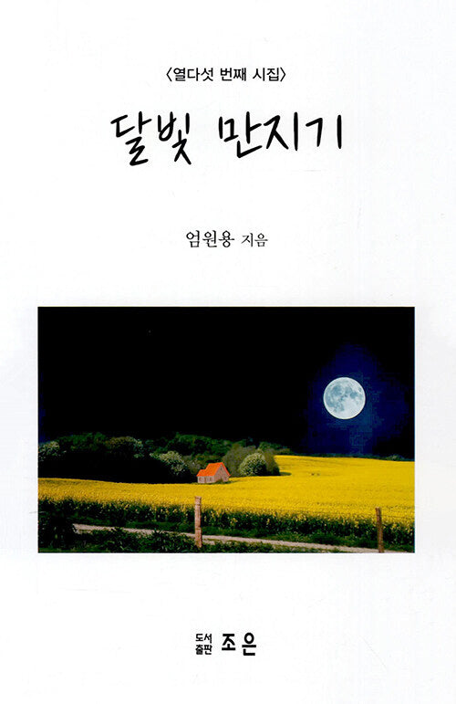 달빛 만지기(열다섯 번째 시집)