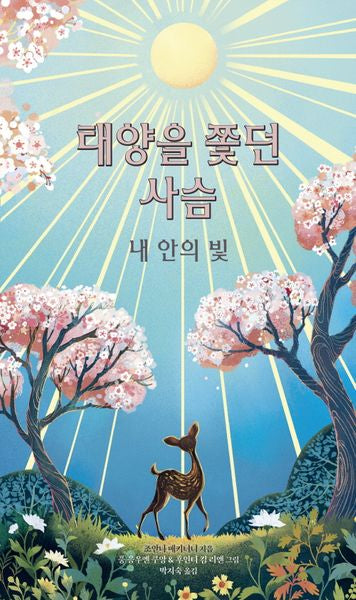 태양을 쫓던 사슴: 내 안의 빛(양장본 Hardcover)