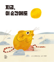 지금, 이 순간에도(양장본 Hardcover)