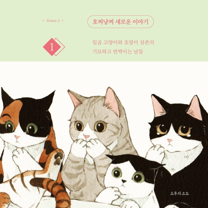 호찌냥찌 새로운 이야기 1(양장본 Hardcover)