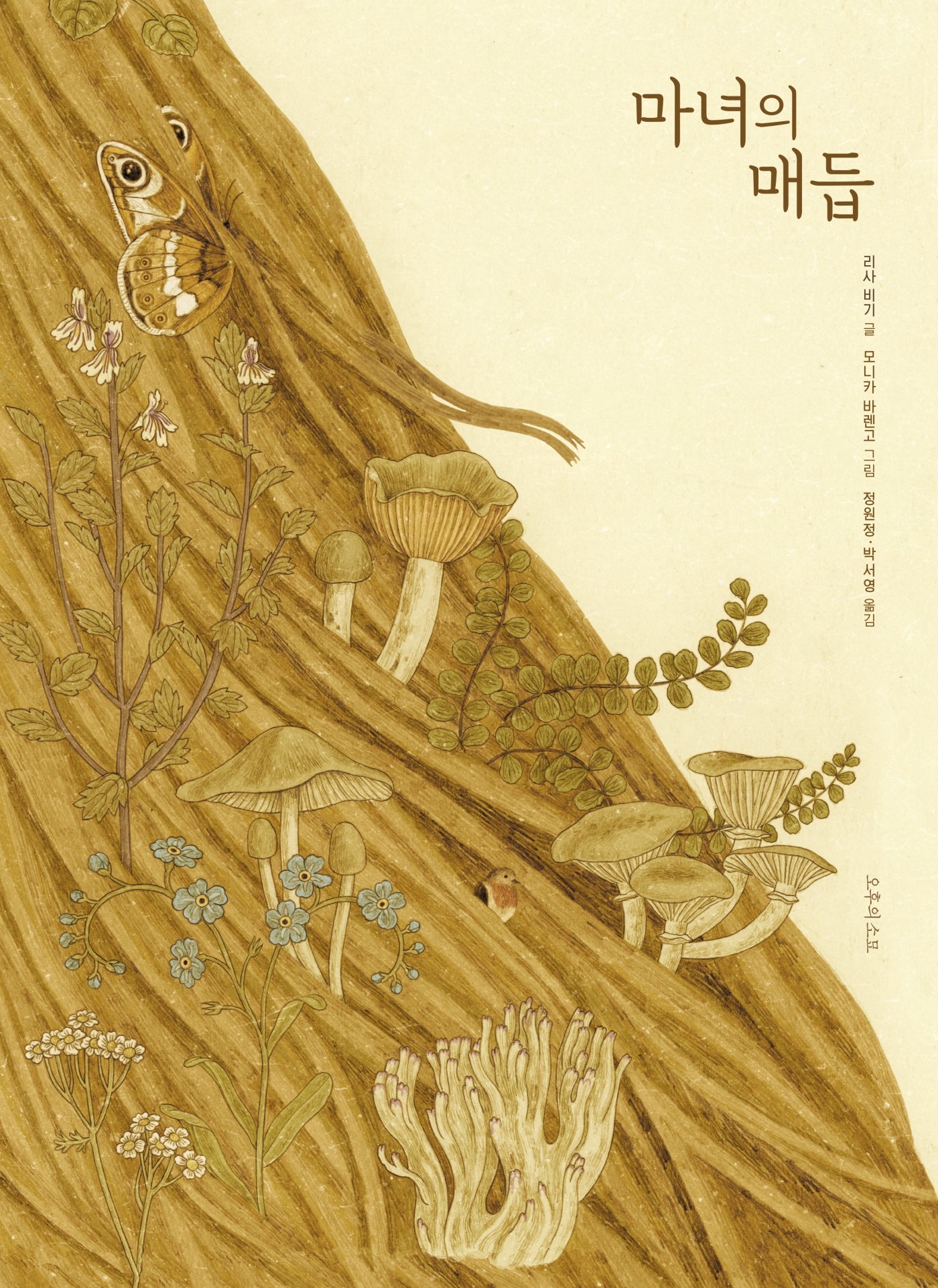 마녀의 매듭(양장본 Hardcover)
