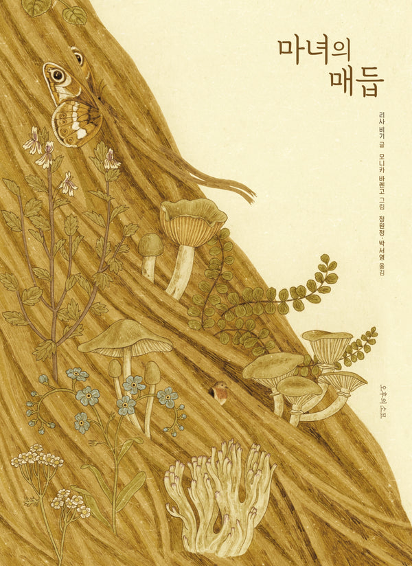 마녀의 매듭(양장본 Hardcover)