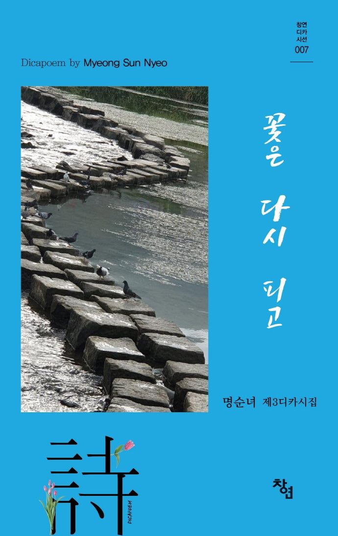 꽃은 다시 피고(창연디카시선 7)