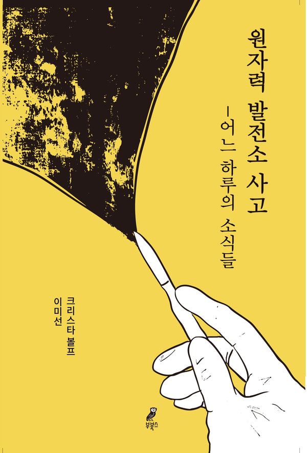 원자력 발전소 사고