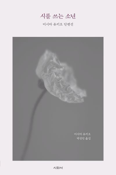 시를 쓰는 소년