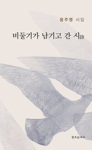 비둘기가 남기고 간 시